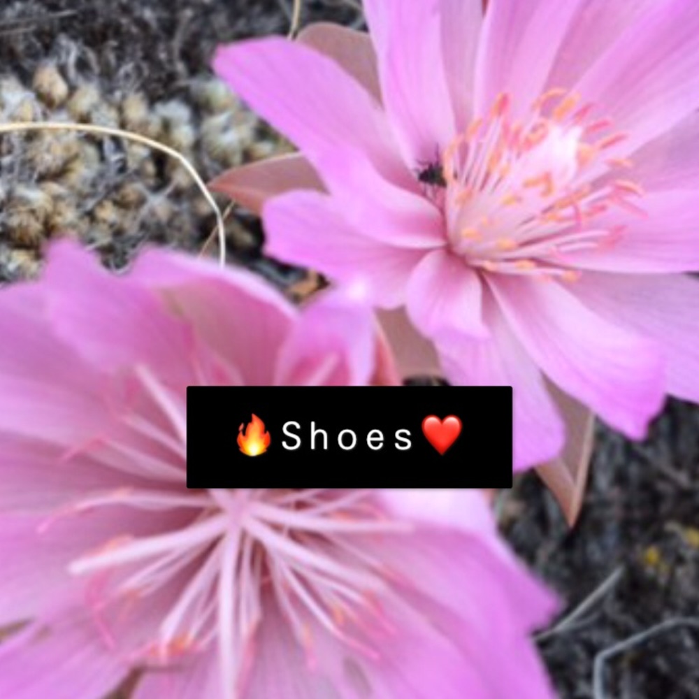 🦋Shoes💖boots🦋